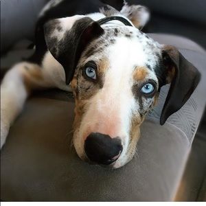 Meet your Posher, Michael